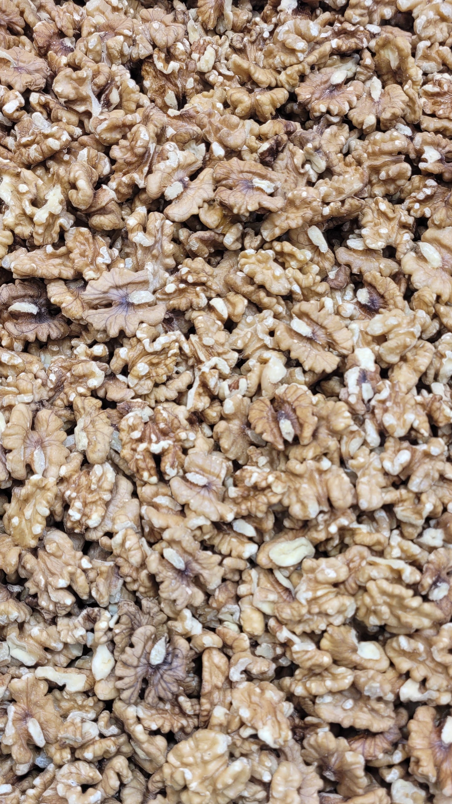 American Walnuts - Giri Akhro/Akhrot Giri | Walnut Kernels Akhrot Giri | American Akhrot Giri Walnuts