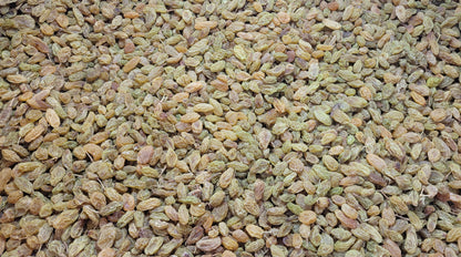 Green Raisins Kishmish Gol Afghani - Kishmish Raisins | PURE GREEN KISHMISH (RAISINS) |Sun-Dried Raisins