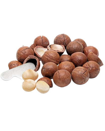 Macadamia Nuts | Buy Chabi Wala Akhrot 250gm 500gm and 1000gm Pack
