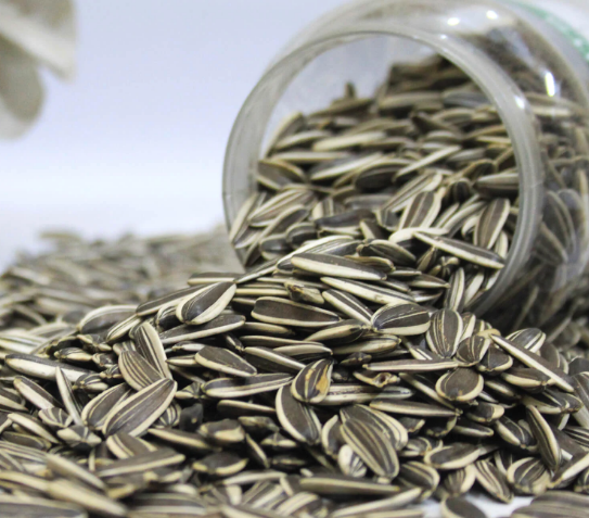 Premium Quality Sunflower Salted Seeds- Crunchy and Satisfying